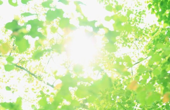 静岡で卒業式・入学式の記念撮影をお考えの方、最高の一枚を残してみませんか？TSD office