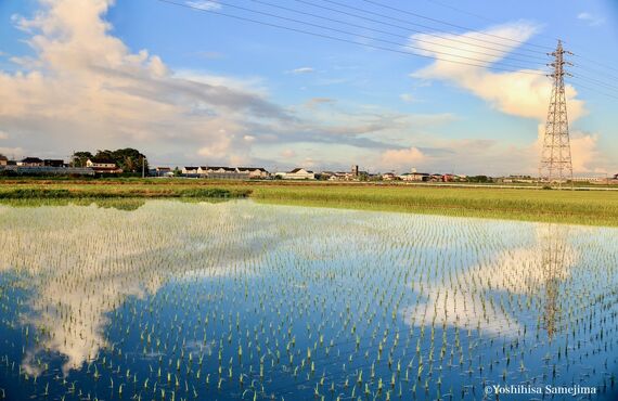 朝の景色を撮って来ました